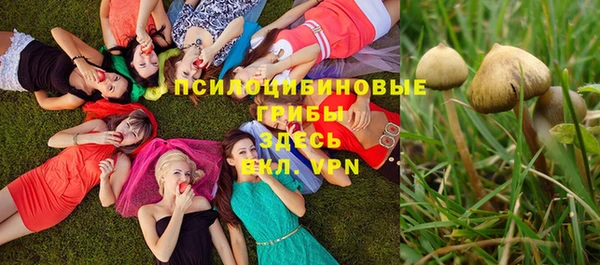 кокаин перу Краснослободск