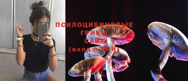 ECSTASY Краснотурьинск