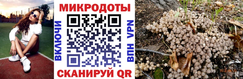 Псилоцибиновые грибы Psilocybe  Купить  Углегорск 